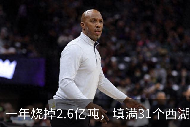 一年烧掉2.6亿吨，填满31个西湖！中国的垃圾，不够烧了？