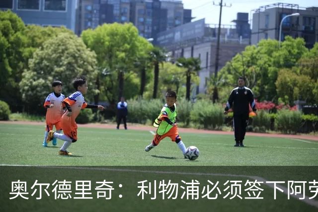 奥尔德里奇：利物浦必须签下阿劳霍